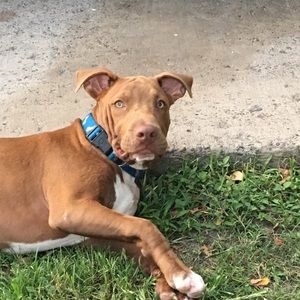 Meet your Posher, Eric